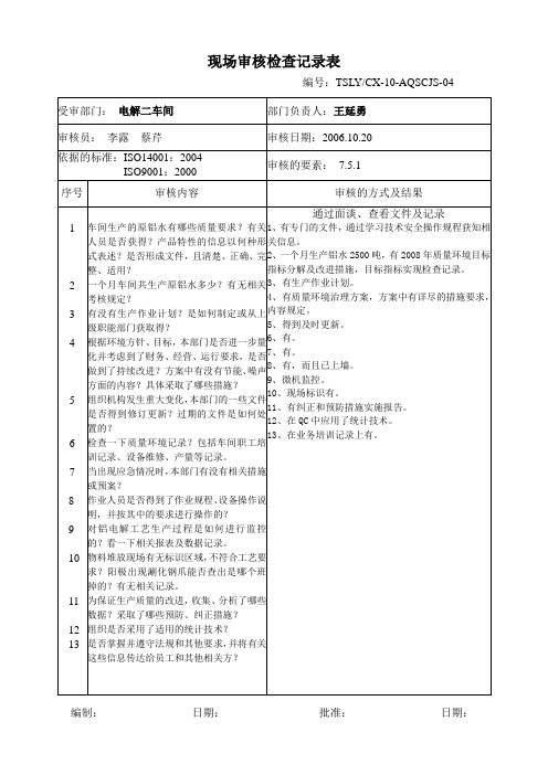 现场审核检查记录表(电二)