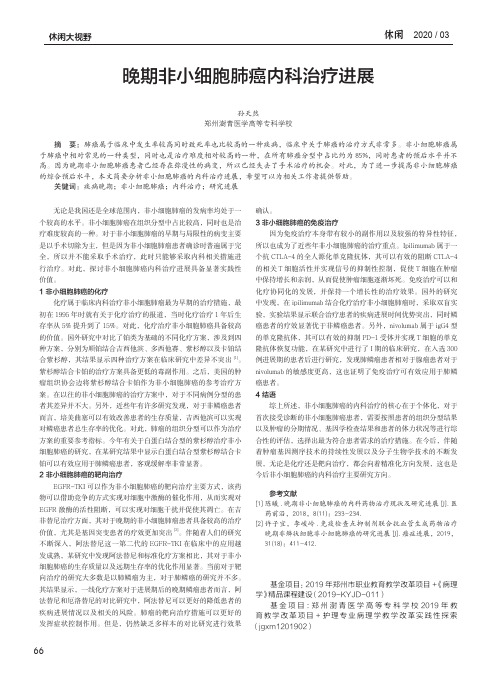晚期非小细胞肺癌内科治疗进展
