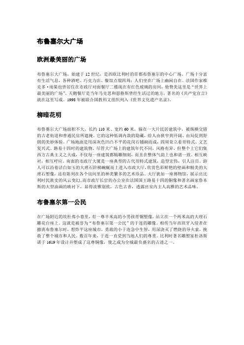 比利时-布鲁塞尔大广场