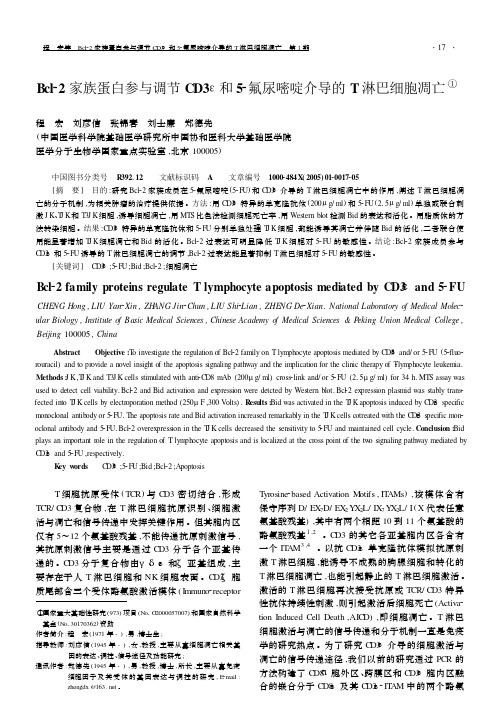 Bcl22家族蛋白参与调节CD3和52氟尿嘧啶介导的T淋巴细
