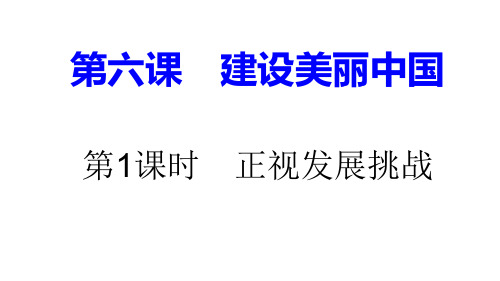 人教版道德与法治九年级上册6.1优质课件正视发展挑战课PPT