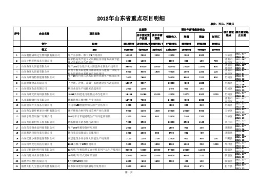 2012年山东省重点项目详细