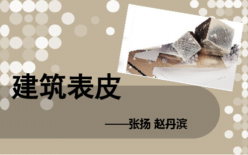 建筑表皮