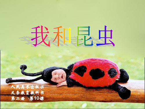 《我和昆虫》ppt课件(3篇)