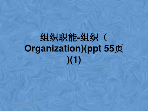 组织职能-组织(Organization)(ppt 55页)(1)