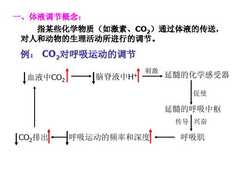 高二生物体液调节1(PPT)5-2
