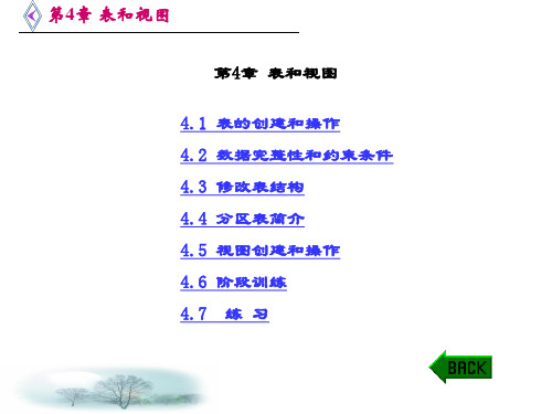 精品课件-Oracle数据库SQL和PL SQL实例-第4章 表和视图