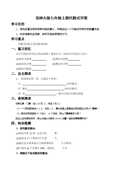 北师大版七年级上册代数式学案