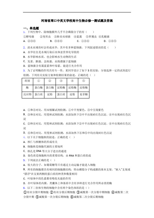 河南省周口中英文学校高中生物必修一测试题及答案