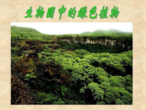 藻类_苔藓和蕨类植物最终课件