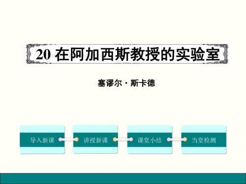 苏教2016版语文七年级上册第20课《在阿加西似教授的实验室》课件 (共21张PPT)