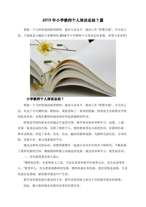 2019年小学教师个人培训总结5篇