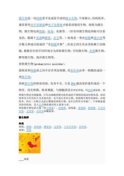 微生物
