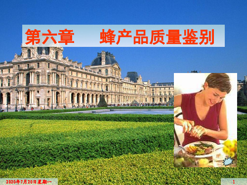 第六章蜂蜜质量检验资料