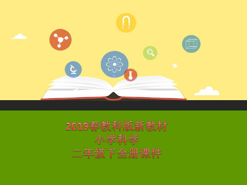 教科版小学二年级下册科学全册课件