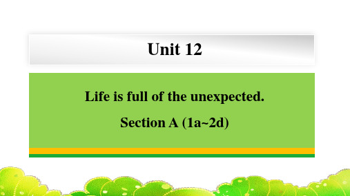 Unit12SectionA(1a_2d)课件人教版九年级英语全册