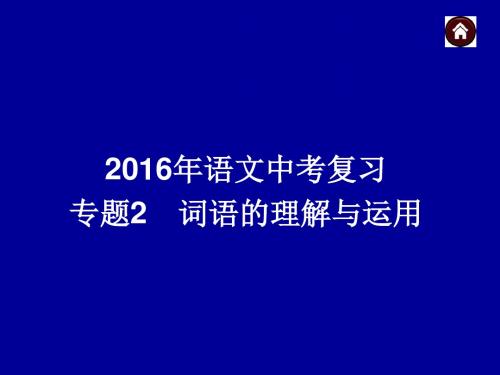 2016年语文中考复习专题2  词语的理解与运用