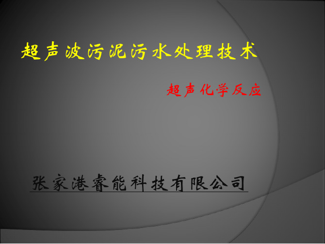 超声波污泥处理