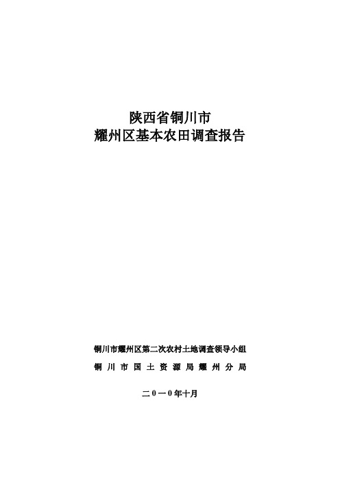 基本农田调查报告