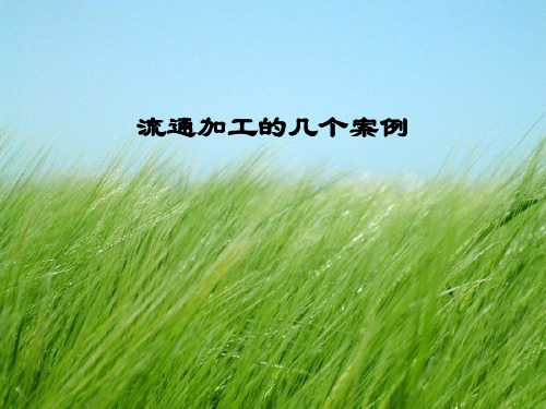 物流案例分析-流通加工幻灯片PPT