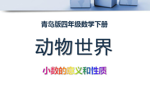 《动物世界》PPT课件4