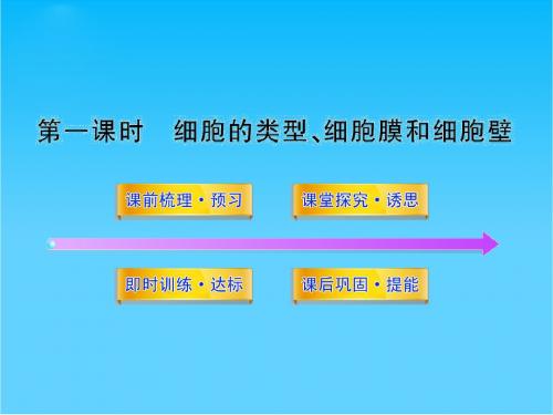 高中生物 3.2.1《细胞的类型、细胞膜和细胞壁》同步课件 苏教版必修1