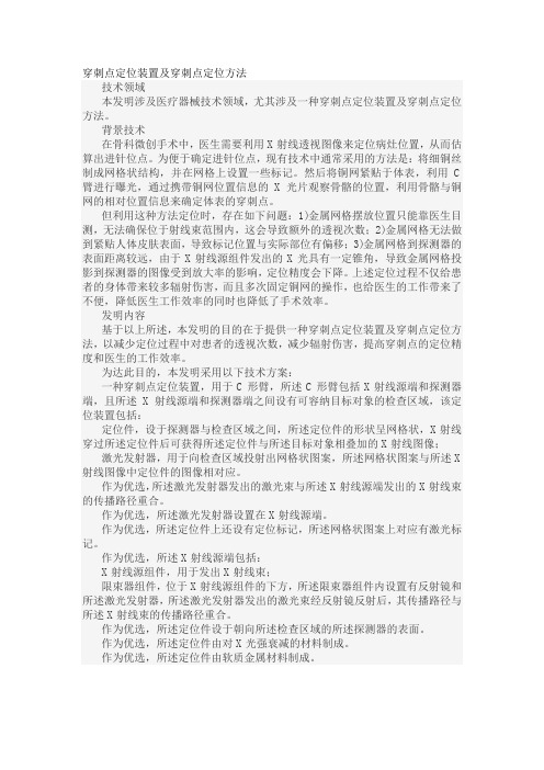穿刺点定位装置及穿刺点定位方法发明专利