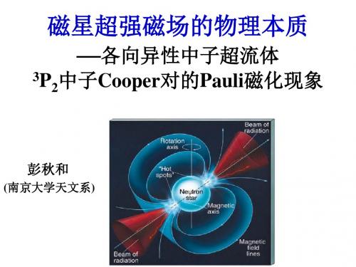 中子超流体的诱导磁矩