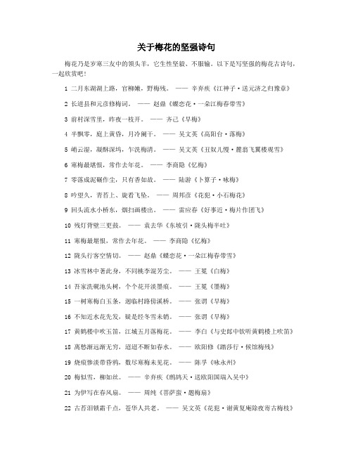 关于梅花的坚强诗句