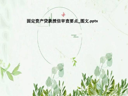 固定资产贷款授信审查要点_图文