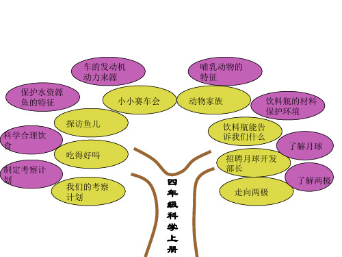 四年级科学知识树