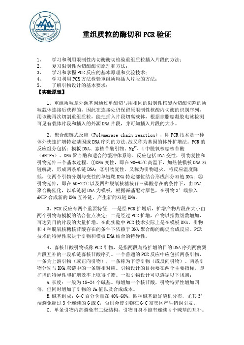 重组质粒酶切与PCR验证