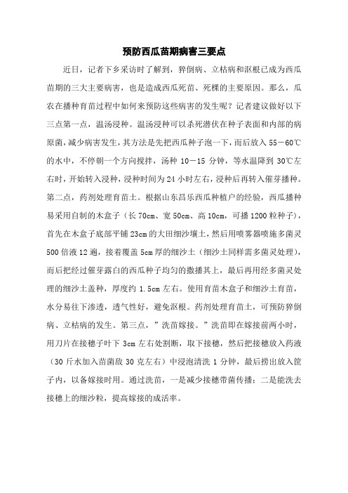 预防西瓜苗期病害三要点
