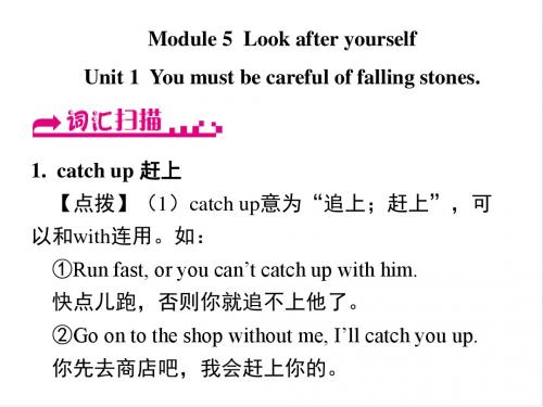 浙江省嘉兴市秀洲区九年级英语下册Module5Unit1We’dbettergetyoutohospital课件新版外研版