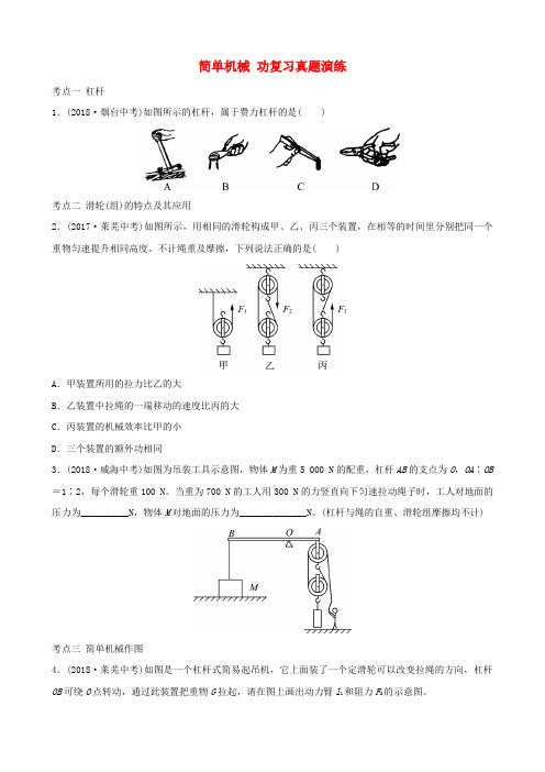 中考物理 第九章 简单机械 功复习真题演练