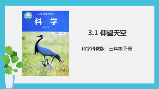 2021教科版三年级下册科学3.1 仰望天空(课件)