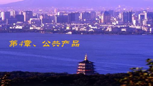 第1章 财政学导