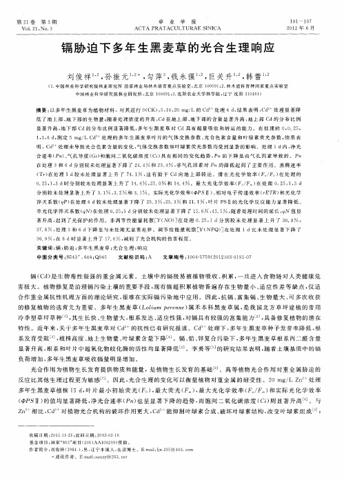 镉胁迫下多年生黑麦草的光合生理响应