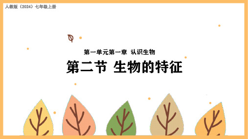 生物的特征(19张PPT)生物学