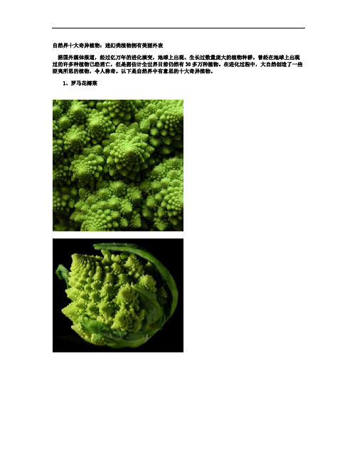 自然界十大奇异植物_图文.
