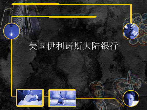 伊利诺斯大陆银行倒闭案例