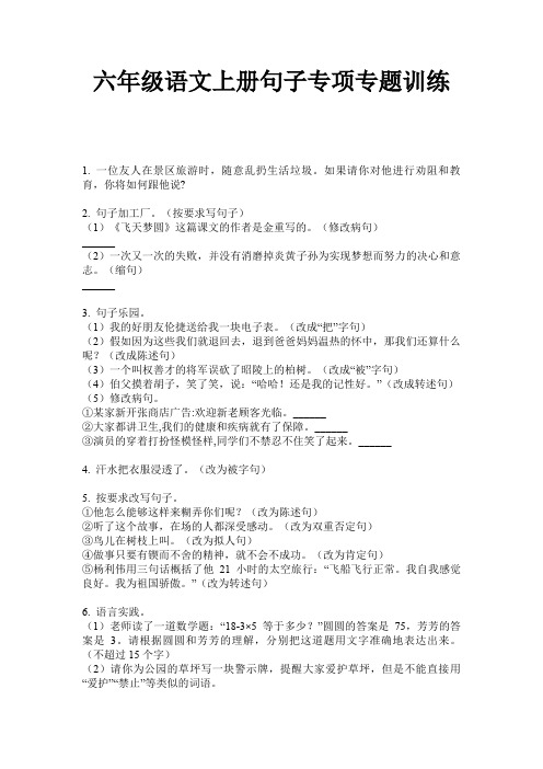 六年级语文上册句子专项专题训练