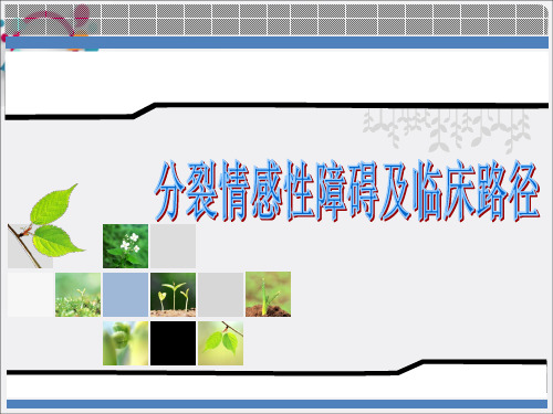 分裂情感性障碍ppt课件