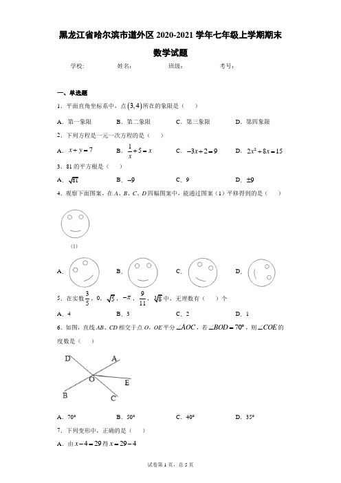 黑龙江省哈尔滨市道外区2020-2021学年七年级上学期期末数学试题(含答案解析)