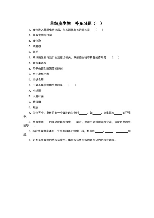 单细胞生物补充习题