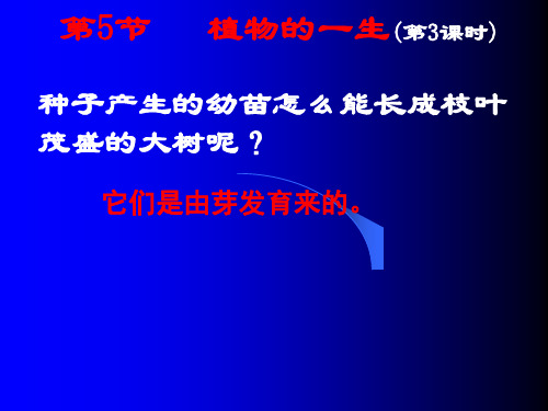 动物的生殖方式