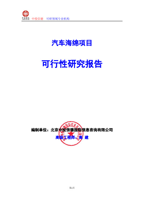 汽车海绵项目可行性研究报告编写格式及参考(模板word)