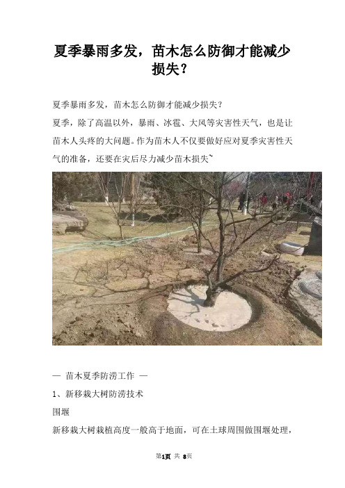 夏季暴雨多发，苗木怎么防御才能减少损失？