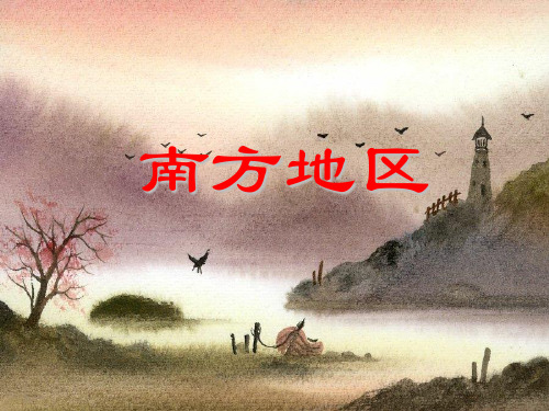 南方地区课件