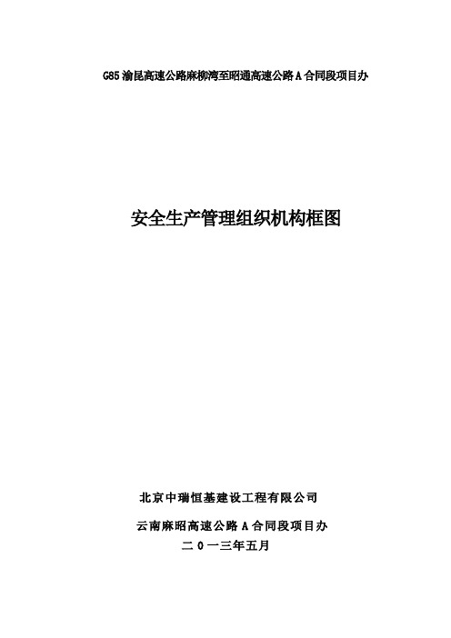 (完整版)项目安全管理组织机构框图